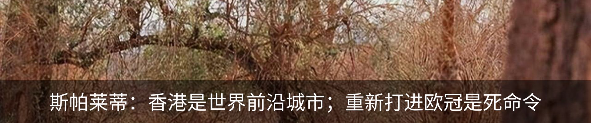 热点资讯